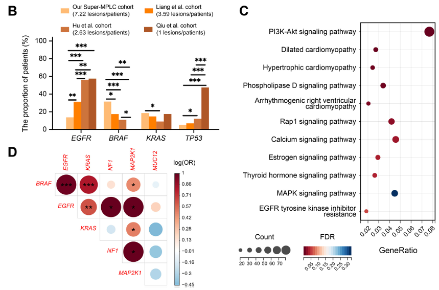 超级MPLC的分子突变特征