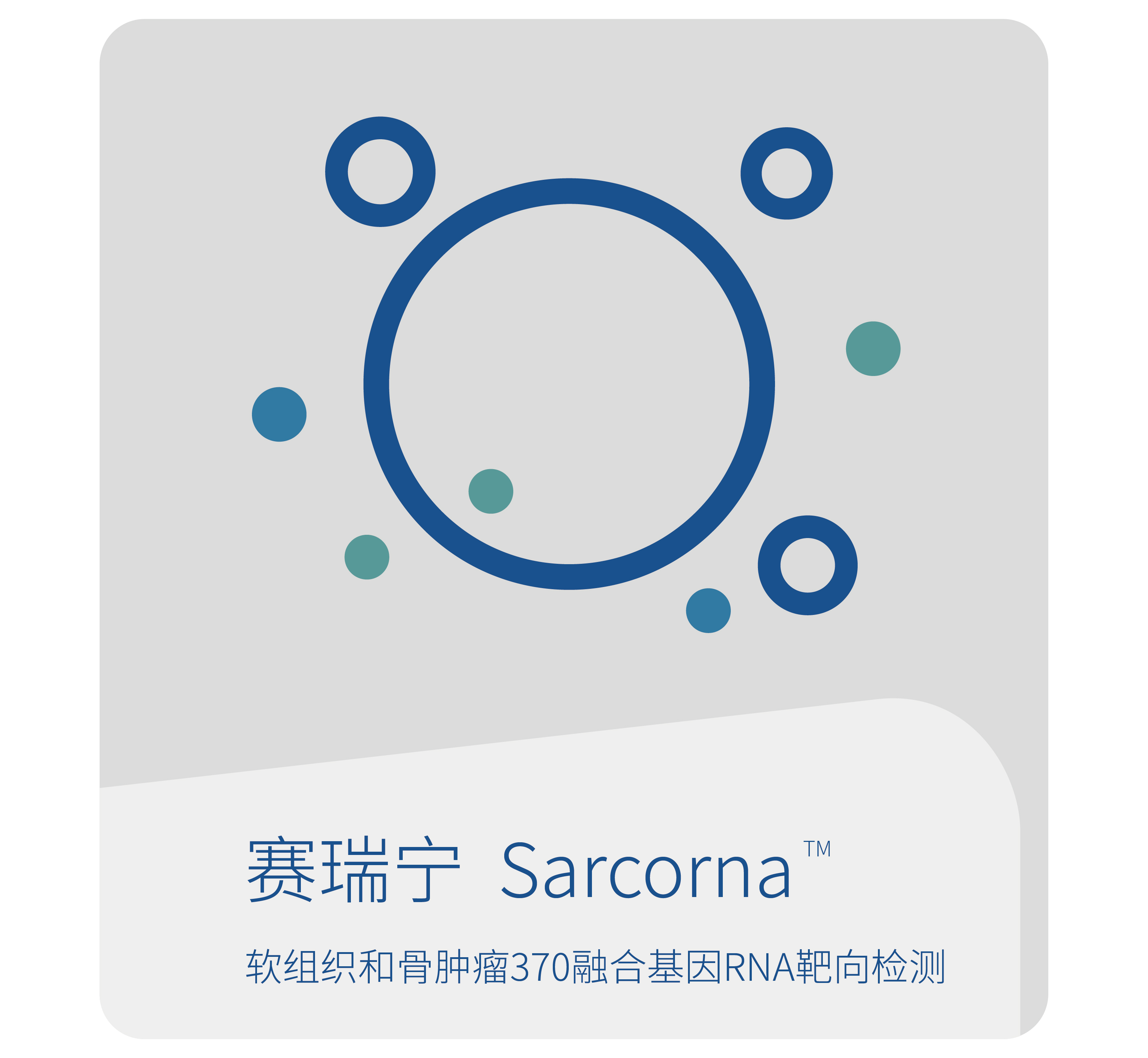 赛瑞宁-世和基因软组织和骨肉瘤肿瘤基因检测产品