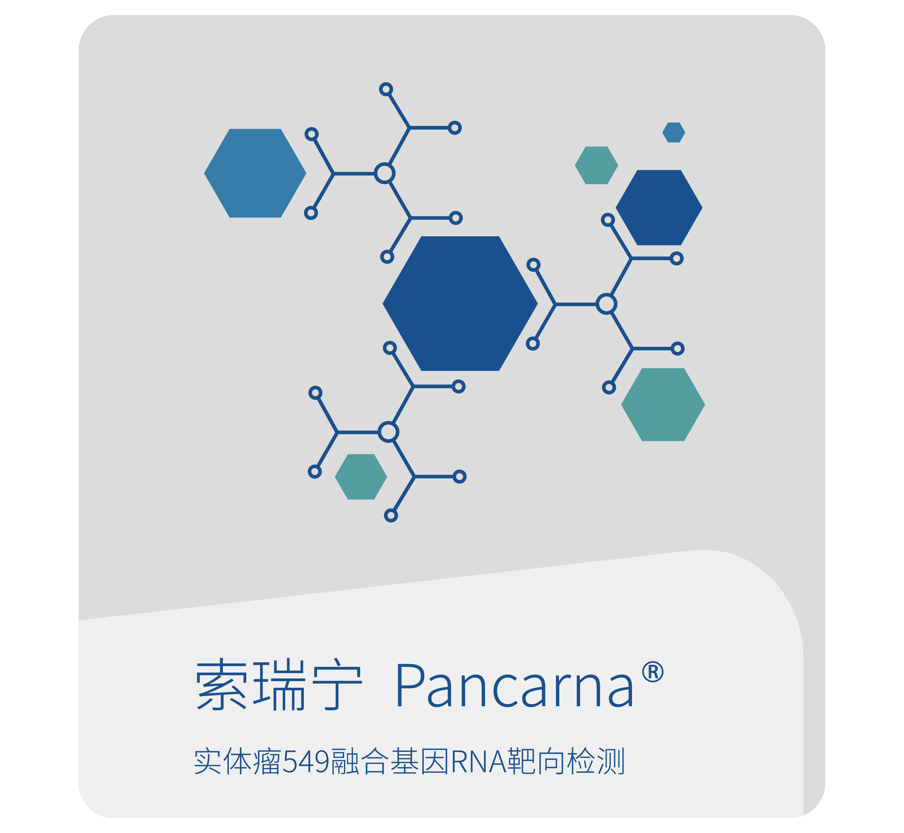 索瑞宁-世和基因实体瘤基因检测产品