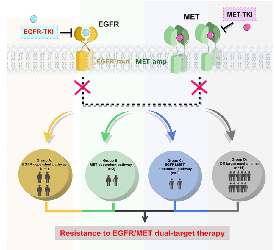 DTT后潜在的耐药机制