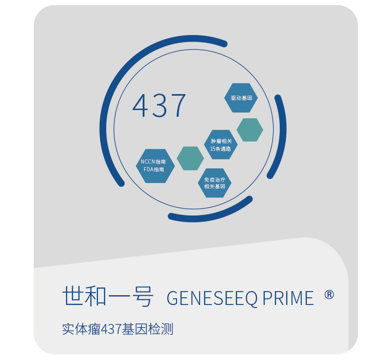 世和基因世和一号® 泛实体瘤437基因检测