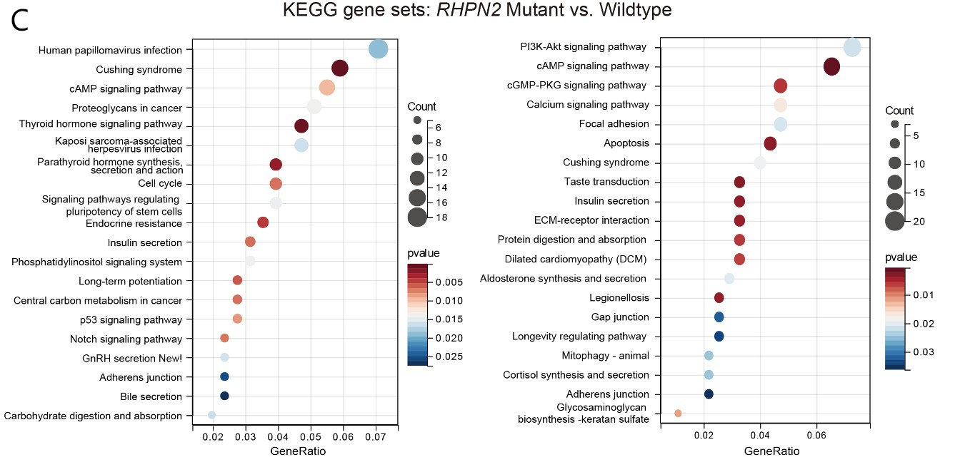 37000vip威尼斯基因肿瘤基因检测文章
