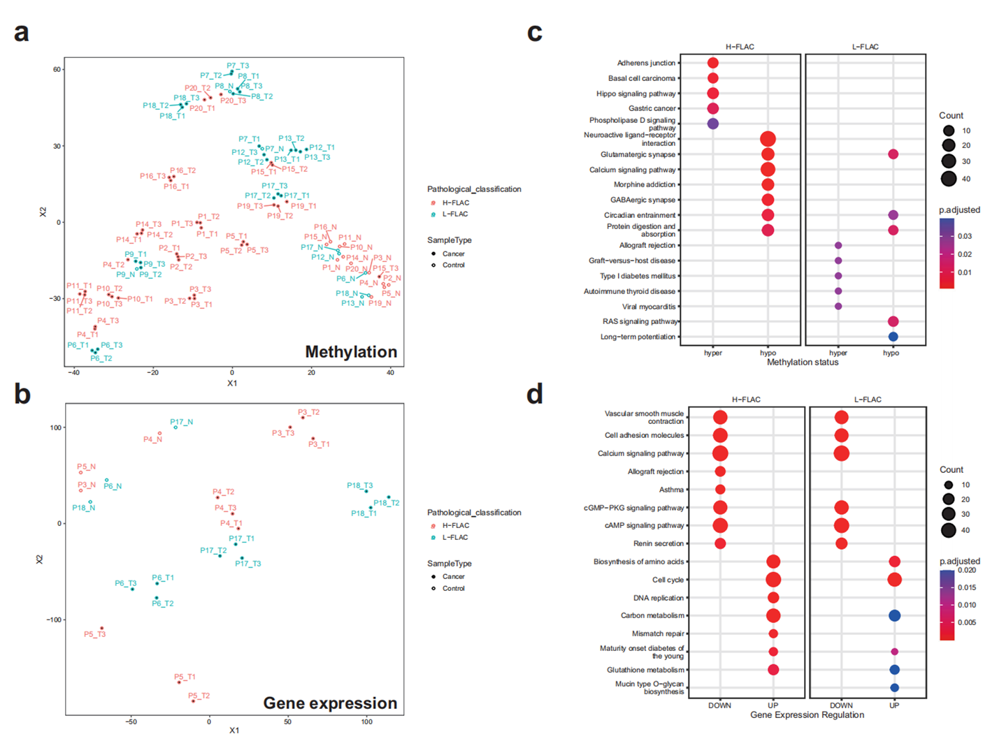 图3. FLAC患者DNA甲基化与基因表达模式。