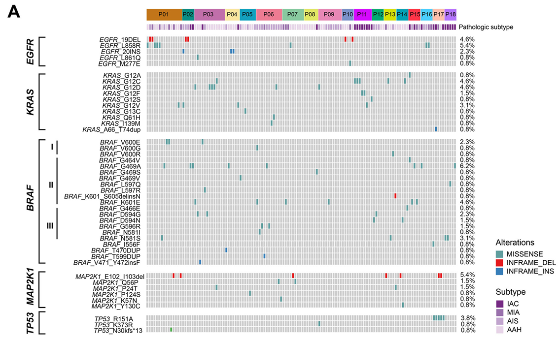 37000vip威尼斯学术文章：超级MPLC中关键驱动基因的突变位点和亚型分布